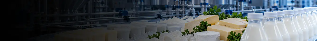 Large-scale processing plant in UAE