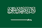 United Arab Emirates flag